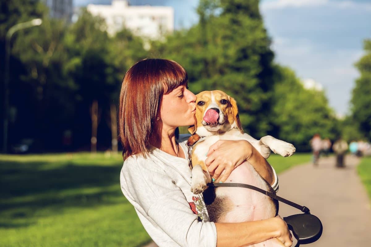 What It Takes To Be a Responsible Pet Owner